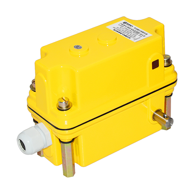 DXZ-4/6(1:210)多功能行程限位器